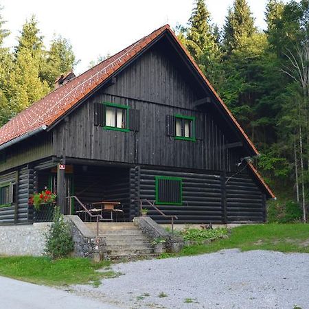 Brunarica Petric - Bela Krajina - Komarna Vas - Smucisce Gace - Semic Exterior foto